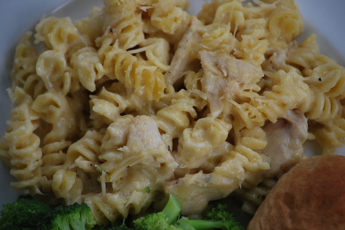 Four Cheese Chicken Pasta - My Story in Recipes
